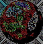 globeSkeleton.jpg