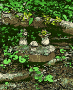 1652470278340.png
