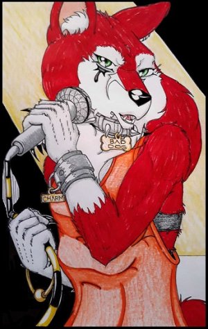 Suedzuk Entertainer.jpg