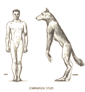 1752477673184.png