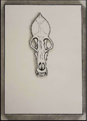 Vargr Skull.jpg