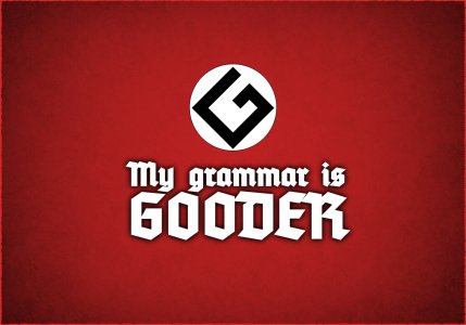 t27a76a_grammar-nazi-_257991-1.jpg