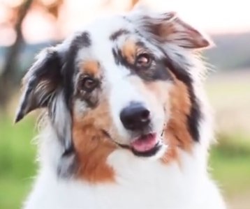 Lissy Smile.jpg Lissy Smile.jpg