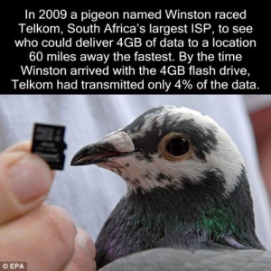 feaslinfeyeb1.png feaslinfeyeb1.png