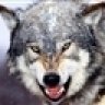 toddaroo