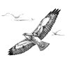 flibbertygibbit