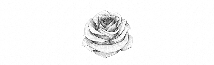 draw-flowers-3-26.jpg