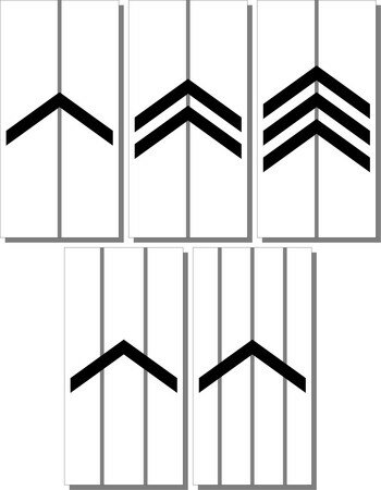20946520_p.jpg
