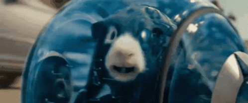 g-force.gif