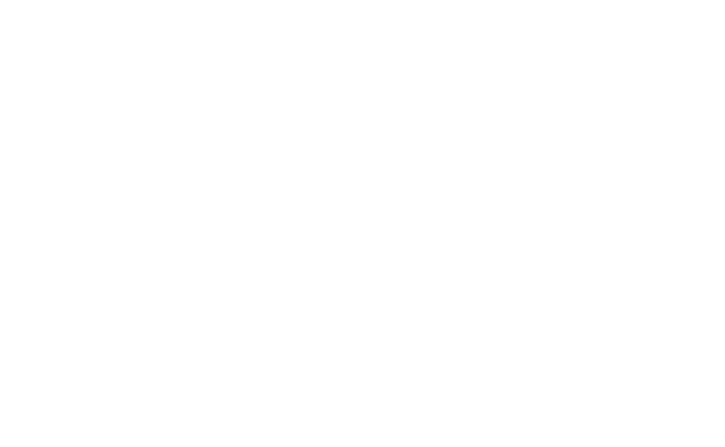 nss.org