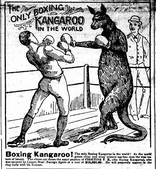 Worthington%2BAdvance%2BJuly%2B6%2B1893%2Bpage%2B2%2Bkangaroo%2Bcartoon%2Bboxing.jpg
